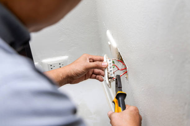 Best Electric Panel Repair  in Kingston, IL